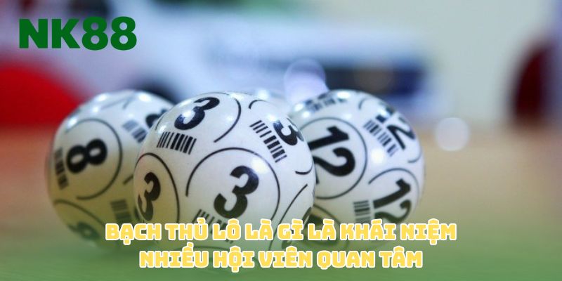 Bạch thủ lô là gì là khái niệm nhiều hội viên quan tâm